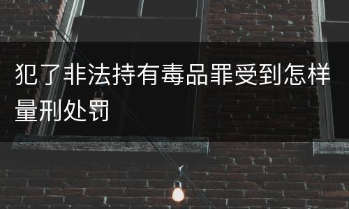 犯了非法持有毒品罪受到怎样量刑处罚