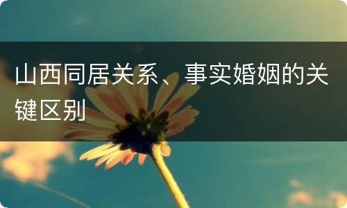 山西同居关系、事实婚姻的关键区别
