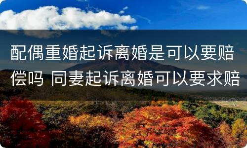 配偶重婚起诉离婚是可以要赔偿吗 同妻起诉离婚可以要求赔偿吗