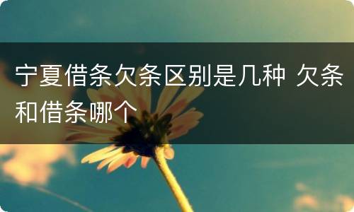 宁夏借条欠条区别是几种 欠条和借条哪个