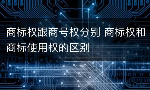 商标权跟商号权分别 商标权和商标使用权的区别