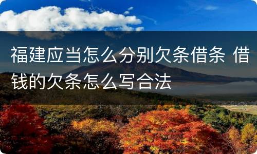 福建应当怎么分别欠条借条 借钱的欠条怎么写合法