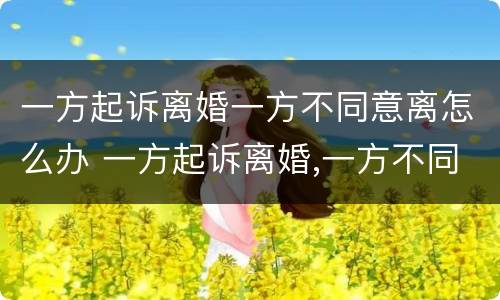 一方起诉离婚一方不同意离怎么办 一方起诉离婚,一方不同意怎么办