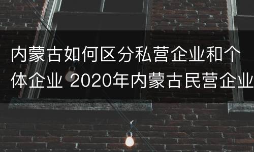 内蒙古如何区分私营企业和个体企业 2020年内蒙古民营企业