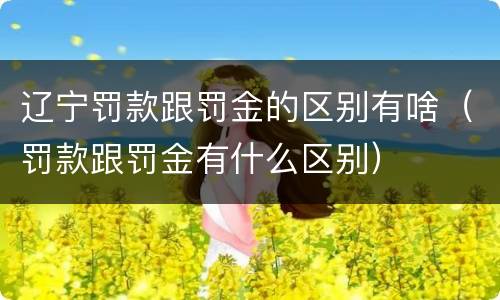辽宁罚款跟罚金的区别有啥（罚款跟罚金有什么区别）