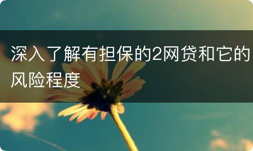 深入了解有担保的2网贷和它的风险程度