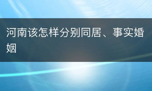 河南该怎样分别同居、事实婚姻