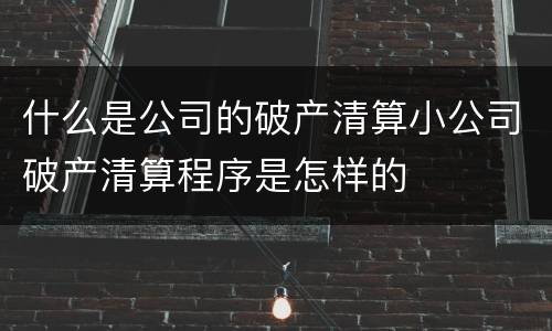 什么是公司的破产清算小公司破产清算程序是怎样的