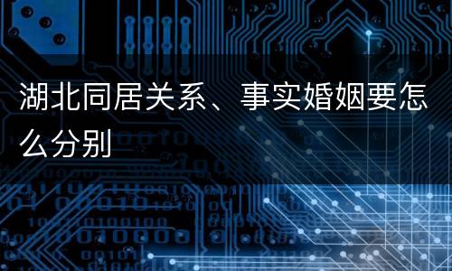 湖北同居关系、事实婚姻要怎么分别