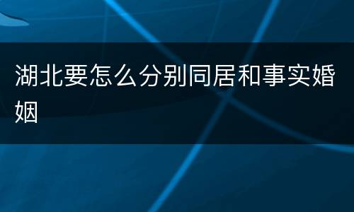 湖北要怎么分别同居和事实婚姻