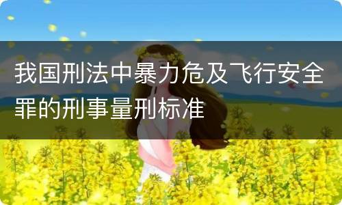 我国刑法中暴力危及飞行安全罪的刑事量刑标准