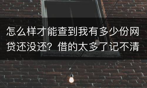 怎么样才能查到我有多少份网贷还没还？借的太多了记不清了