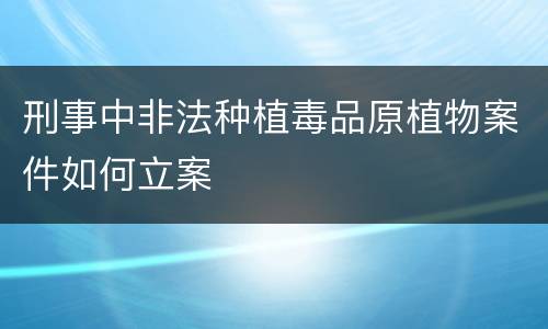 刑事中非法种植毒品原植物案件如何立案