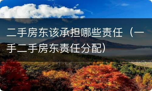 二手房东该承担哪些责任（一手二手房东责任分配）