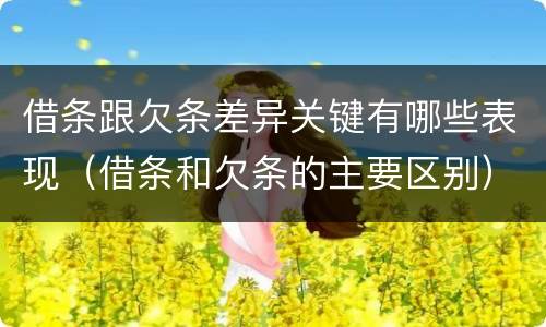 借条跟欠条差异关键有哪些表现（借条和欠条的主要区别）