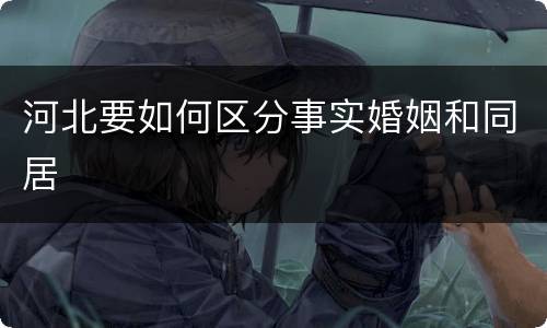 河北要如何区分事实婚姻和同居