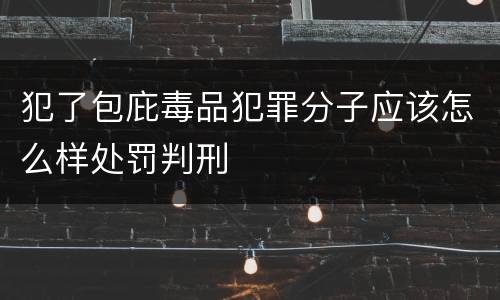 犯了包庇毒品犯罪分子应该怎么样处罚判刑