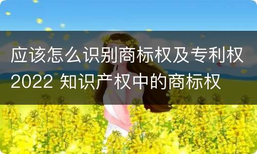 应该怎么识别商标权及专利权2022 知识产权中的商标权