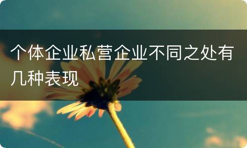 个体企业私营企业不同之处有几种表现