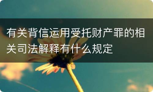 有关背信运用受托财产罪的相关司法解释有什么规定