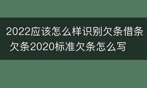 2022应该怎么样识别欠条借条 欠条2020标准欠条怎么写