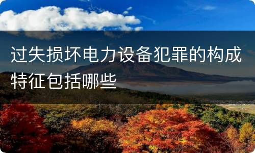 过失损坏电力设备犯罪的构成特征包括哪些