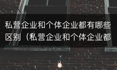 私营企业和个体企业都有哪些区别（私营企业和个体企业都有哪些区别和优势）