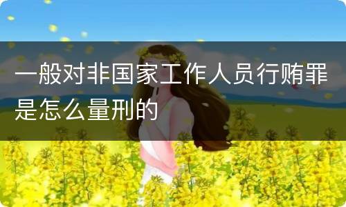 一般对非国家工作人员行贿罪是怎么量刑的
