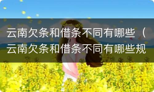 云南欠条和借条不同有哪些（云南欠条和借条不同有哪些规定）