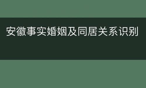 安徽事实婚姻及同居关系识别