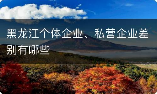 黑龙江个体企业、私营企业差别有哪些