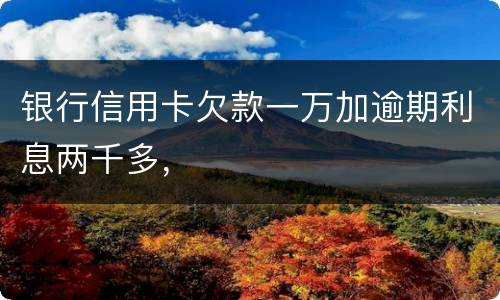 银行信用卡欠款一万加逾期利息两千多，