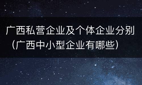 广西私营企业及个体企业分别（广西中小型企业有哪些）