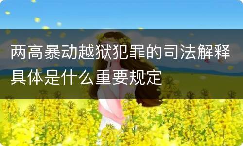 两高暴动越狱犯罪的司法解释具体是什么重要规定