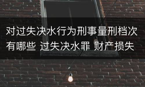 对过失决水行为刑事量刑档次有哪些 过失决水罪 财产损失标准
