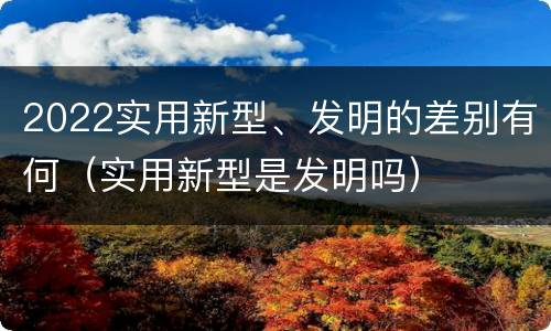2022实用新型、发明的差别有何（实用新型是发明吗）