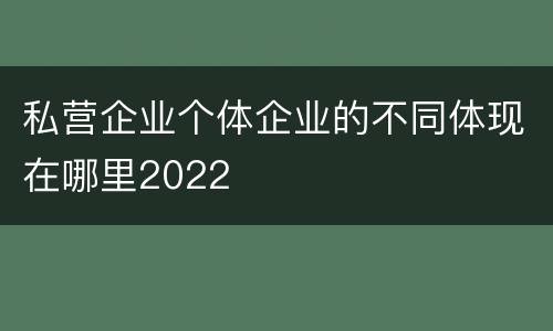 私营企业个体企业的不同体现在哪里2022