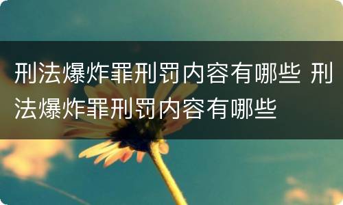 刑法爆炸罪刑罚内容有哪些 刑法爆炸罪刑罚内容有哪些