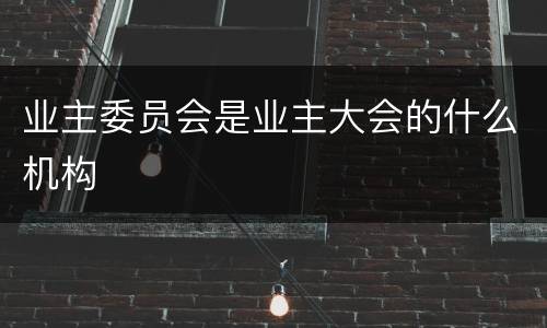 业主委员会是业主大会的什么机构