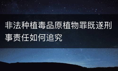 非法种植毒品原植物罪既遂刑事责任如何追究