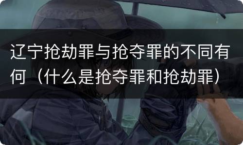 辽宁抢劫罪与抢夺罪的不同有何（什么是抢夺罪和抢劫罪）