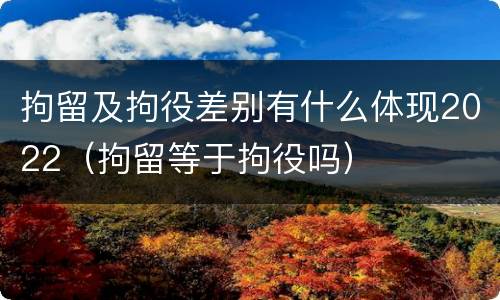 拘留及拘役差别有什么体现2022（拘留等于拘役吗）