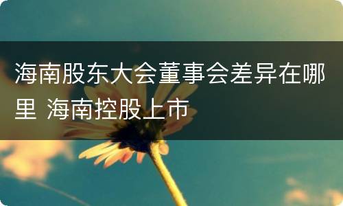 海南股东大会董事会差异在哪里 海南控股上市