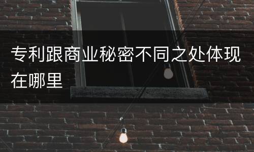 专利跟商业秘密不同之处体现在哪里