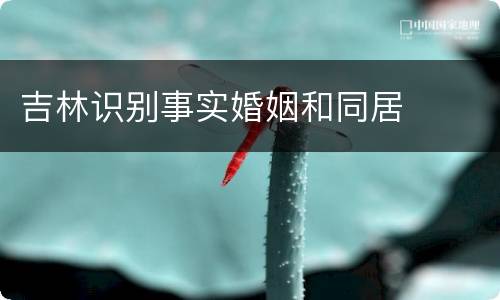 吉林识别事实婚姻和同居