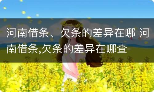 河南借条、欠条的差异在哪 河南借条,欠条的差异在哪查