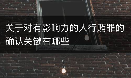 关于对有影响力的人行贿罪的确认关键有哪些