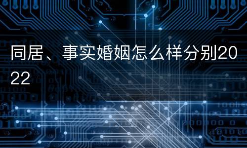 同居、事实婚姻怎么样分别2022