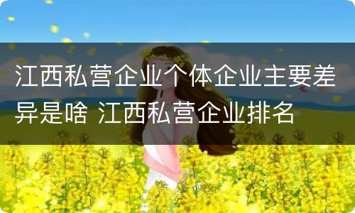 江西私营企业个体企业主要差异是啥 江西私营企业排名
