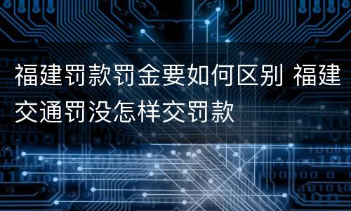 福建罚款罚金要如何区别 福建交通罚没怎样交罚款
